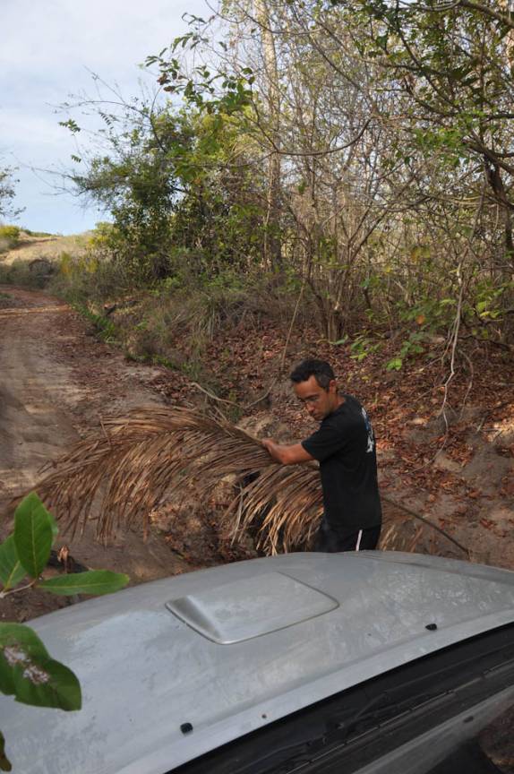 Colocando folha de palmeira para tentar destravar a Fiona, entre a praia do Outeiro e a Barra do Mamanguape - PB